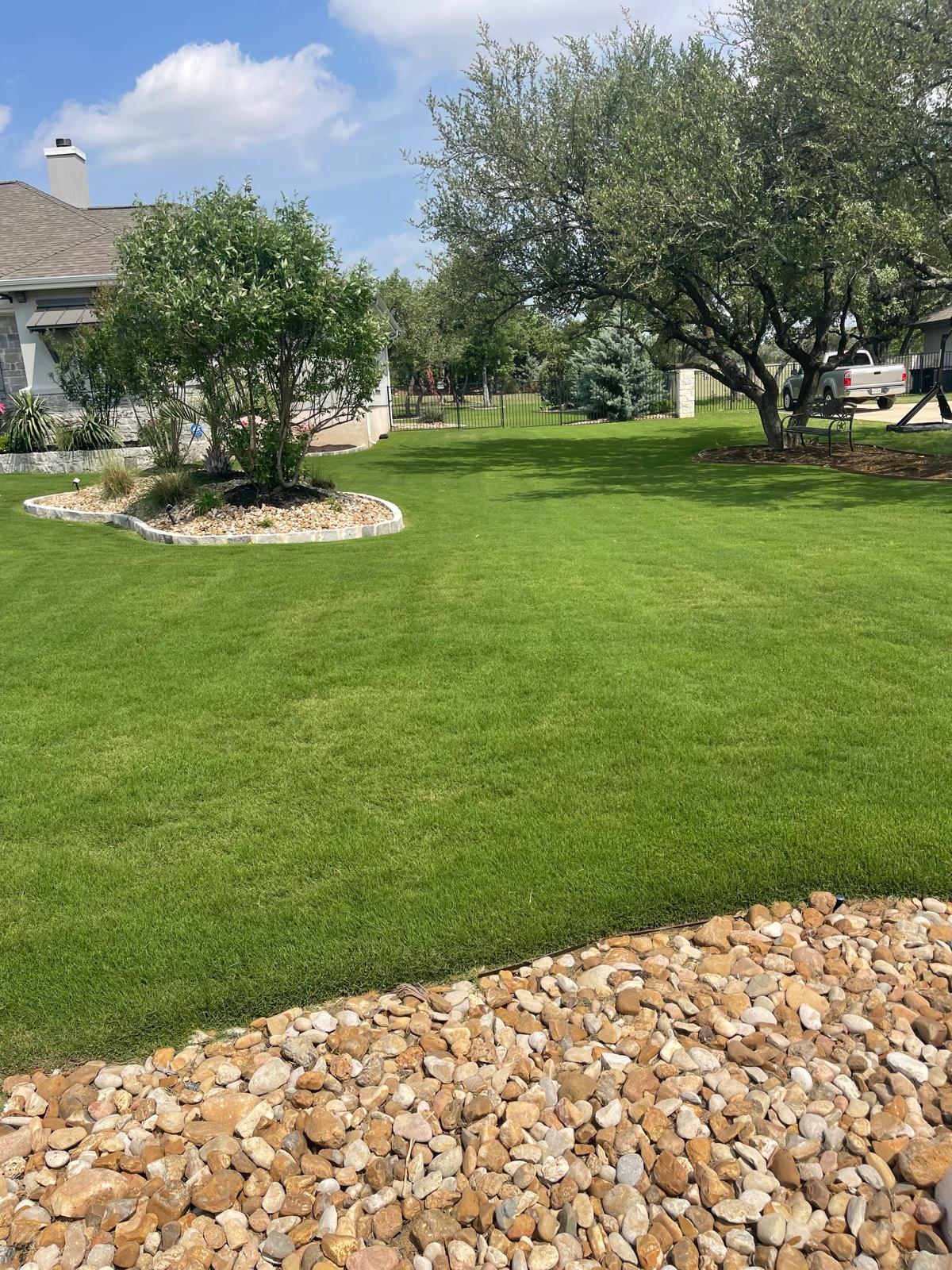 Healthy backyard lawn after maintenance